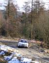 rally800.jpg