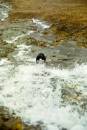 steve_on_unnamed_ghyll_glen_etive.jpg