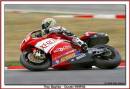 troybayliss.jpg
