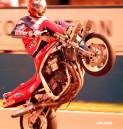 wheelie1_copy.jpg