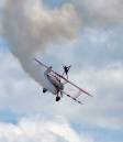 wing_walker.jpg