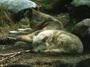 2005_0820Image0021.JPG