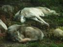 2005_0820Image0022.JPG