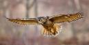 20110221-IMG_2700-Edit-2.jpg