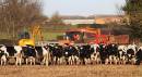 2011_01_09_00104_eccelshall_06.jpg