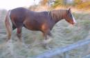 265-6530_Cool_Breeze_at_Sunset.jpg