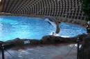 Aurora_Cruise_272.jpg