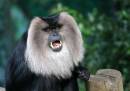 Colchester-Zoo-16_7_08_0838.jpg