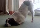 DSC00085.JPG