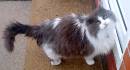 DSC00137.JPG