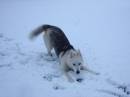 DSC07631.JPG
