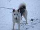 DSC07634.JPG