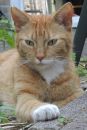 DSCN6173_Mr_James.jpg