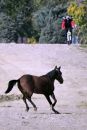 DSCN9259a.jpg