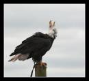DSC_0126-Edit-Edit.jpg