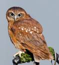 DSC_0154-Edit.jpg