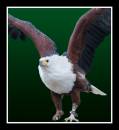 DSC_0203-Edit.jpg