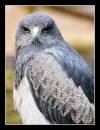 DSC_0244-Edit.jpg