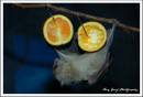 DSC_3092-2.jpg