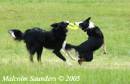 Dash_and_Mad_235.jpg