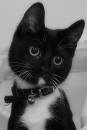 Dotty_5_mnth02_RJ_wpfpb.jpg