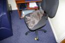IMGP0597.JPG