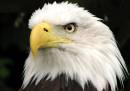 IMG_1025_edited-1.jpg