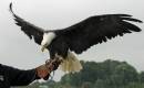 IMG_1050_edited-1.jpg
