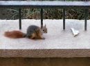 IMG_1193c.jpg