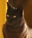 IMG_1292n_filtered.jpg