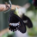 IMG_14791.jpg