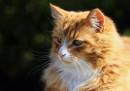 IMG_2042_edited-1.jpg
