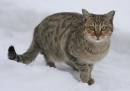 IMG_2729ak.jpg