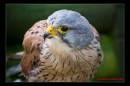 IMG_3521-Edit.jpg