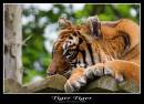 IMG_3663-01.jpg
