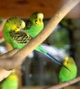 IMG_4004a.jpg