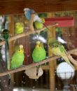 IMG_4005a1.jpg