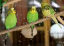 IMG_4006b.jpg