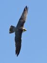 IMG_4060.jpg