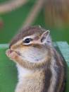 IMG_4649s.jpg