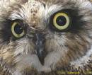 /gallery/data/513/thumbs/IMG_5948_1.jpg