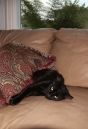 IMG_68751.jpg