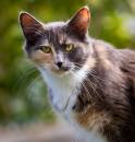 IMG_6949-Edit.jpg