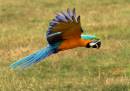 IMG_7214_edited-1.jpg
