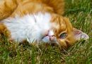 IMG_7601_edited-1.jpg