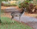 IMG_82481.jpg