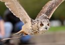 IMG_8477_edited-1.jpg