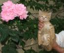 IMG_9150a.jpg