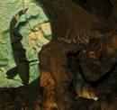 In_The_Tropical_Aquariam_8984.JPG