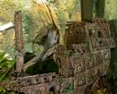 In_The_Tropical_Aquarium_8950.jpg